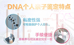 普洱匿名亲子鉴定需要提供什么,普洱隐私亲子鉴定如何做 普洱匿名亲子鉴定需要提供什么,普洱隐私亲子鉴定如何做