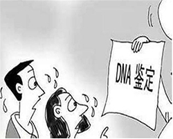 普洱司法亲子鉴定收费明细（检测咨询）